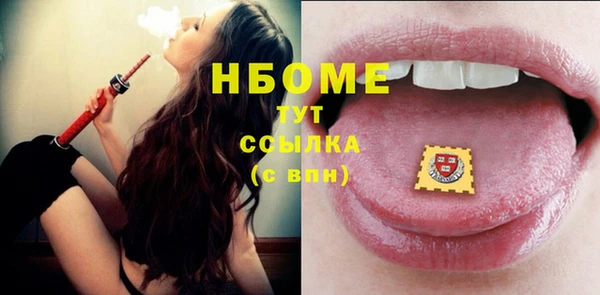стаф Магас