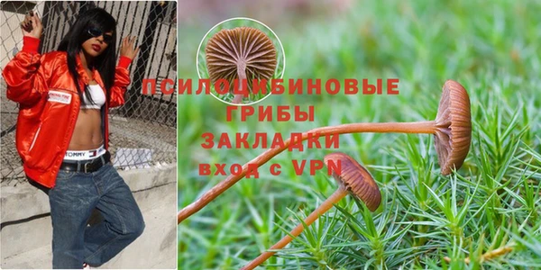 кокаин Медногорск