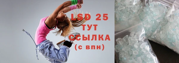 стаф Магас