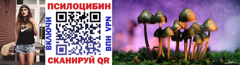 купить наркотик  Красноперекопск  Псилоцибиновые грибы мицелий 