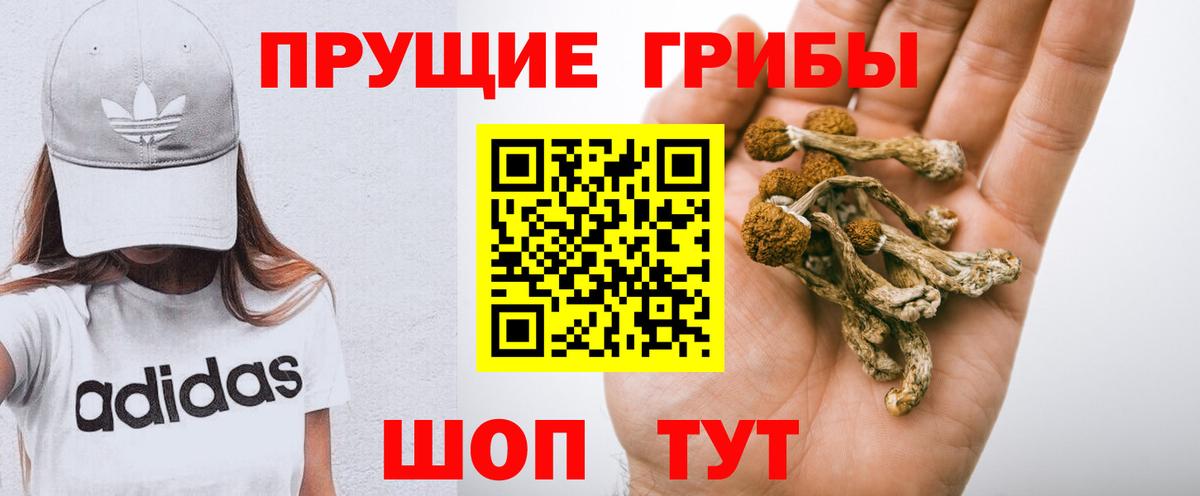 Псилоцибиновые грибы Psilocybine cubensis Красноперекопск